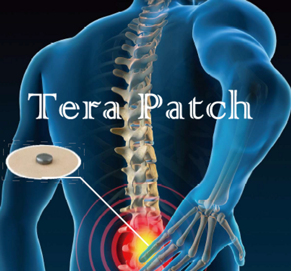 Tera Patch